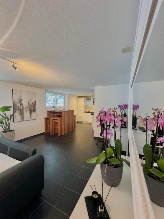 The R Apartment Froburg, Parking, Netflix, Golfplatz Obergosgen エクステリア 写真