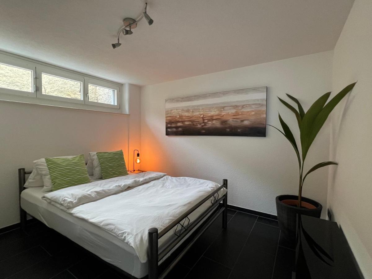 The R Apartment Froburg, Parking, Netflix, Golfplatz Obergosgen エクステリア 写真