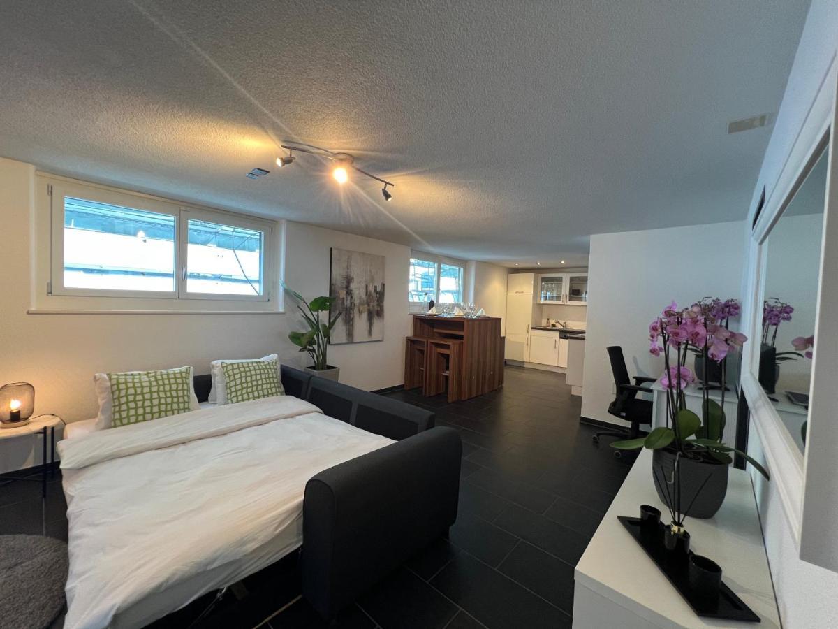 The R Apartment Froburg, Parking, Netflix, Golfplatz Obergosgen エクステリア 写真